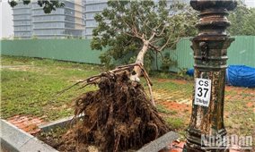 Thủ tướng chỉ đạo tập trung ứng phó áp thấp nhiệt đới có khả năng mạnh lên thành bão và mưa lũ