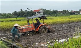 Các địa phương tập trung khôi phục sản xuất sau bão, lũ