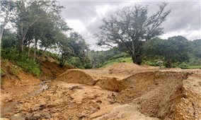 Đăk Hà (Kon Tum): Xử lý vi phạm hủy hoại đất tại khu vực Cây đa cười chưa nghiêm, gây thiệt hại cho người dân (Bài 4)
