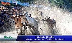 Hội đua bò Chùa Rô - Nét văn hóa độc đáo của đồng bào Khmer