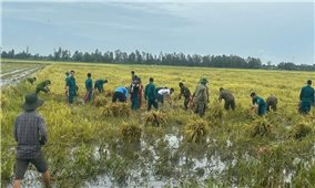 Kiên Giang: Lực lượng vũ trang giúp dân khắc phục hậu quả do ảnh hưởng của bão số 3