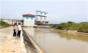 Xuân về trên những làng Chăm