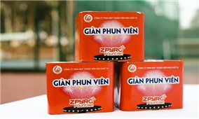 Người dân được sử dụng loại pháo hoa nào?