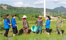 Khe Sanh - Mùa Xuân ấm no và niềm tin mới