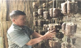 Thêm nhiệm vụ, trách nhiệm càng cao