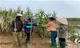 Hoàn thiện cơ chế cho khuyến nông trong bối cảnh mới