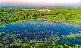 Người về vui hội với trằm