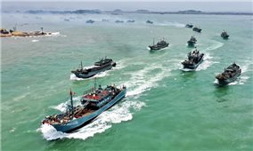 Thủ tướng chỉ đạo cương quyết 