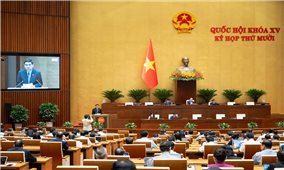 Luật Báo chí (sửa đổi) nâng cao giá trị nghề nghiệp, bảo vệ quyền tác nghiệp hợp pháp của người làm báo