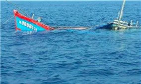 Quảng Ngãi một tàu cá đang di chuyển tránh bão số 12 thì bị phá nước