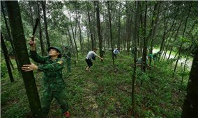 Nhận khoán bảo vệ rừng tạo sinh kế và thu nhập cho người dân