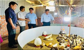 Hiệu quả trong công tác đào tạo nghề cho đồng bào DTTS nhìn từ Gia Lai