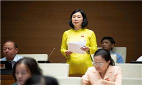 Nguồn thu từ tín chỉ Carbon có thể giúp người dân vùng DTTS giảm nghèo bền vững