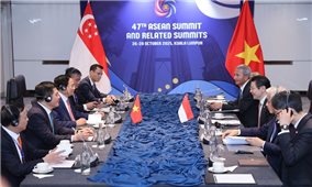 Thủ tướng đề nghị Singapore hỗ trợ phát triển một số ngành công nghiệp chiến lược