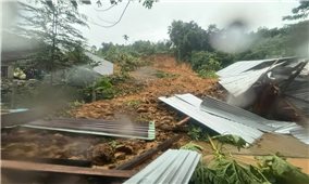 Đà Nẵng chi 200 tỷ đồng khắc phục hậu quả thiên tai, hỗ trợ người dân ổn định cuộc sống