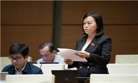 Xây dựng và phát triển vùng trung du và miền núi Bắc Bộ trở thành vùng phát triển xanh