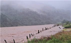 Quảng Ngãi: Một người dân ở xã Ngọc Linh mất tích do mưa lũ