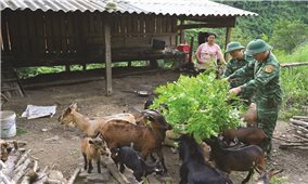 Xứng danh “Bộ đội Cụ Hồ” nơi tuyến đầu Tổ quốc