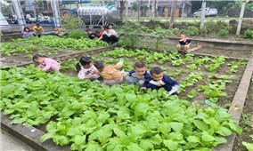 Một mô hình ấm áp về giáo dục và tình người