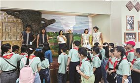 Bảo tàng Lâm Đồng: Hành trình ngược dòng văn hóa các dân tộc Nam Tây Nguyên