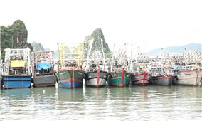 Quảng Ninh huy động hơn 17.000 người ứng phó bão Matmo