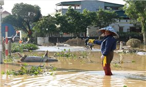 Thái Nguyên: Nước lũ đã rút dần, nhưng nỗi lo hậu thiên tai lại dâng lên