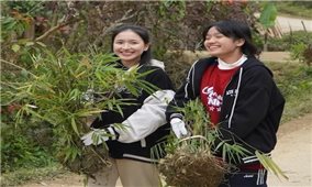 Góp sức kiến tạo mô hình sinh thái bền vững nơi biên cương Bát Mọt