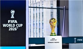 FIFA xem xét thay đổi lớn tại World Cup 2026 bằng cách xếp hạt giống theo thứ hạng FIFA