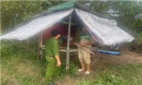 Thanh Hóa ra quân ngăn chặn tình trạng săn bắt chim trời