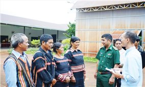 Hiệu quả mô hình 