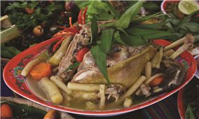 Sâm dây - Hương vị đại ngàn Trường Sơn