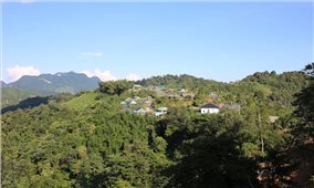 Thực hiện Chương trình MTQG ở Nghệ An: Nhiều nhóm chỉ tiêu cơ bản đạt kế hoạch