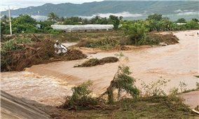 Lâm Đồng: Vỡ hồ chứa nước, cuốn trôi 1 người và nhiều nhà cửa