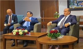 Hai Thủ tướng Việt Nam, Algeria làm việc với các doanh nghiệp để thúc đẩy các dự án cụ thể