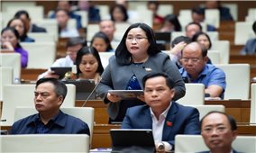 Luật Giáo dục nghề nghiệp cần có ưu đãi đặc biệt cho người học nghề truyền thống, người học ở vùng sâu, vùng xa