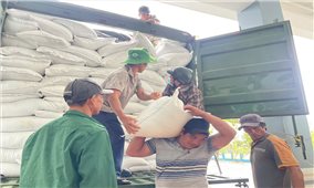 Đắk Lắk cấp 2.000 tấn gạo cho người dân bị ảnh hưởng lũ lụt