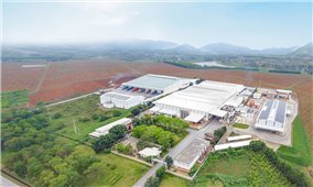 Giấc mơ nông nghiệp công nghệ cao ở Nghệ An