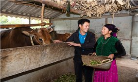 Tuyên Quang: Chương trình MTQG 1719 mang lại sự đổi thay rõ rệt tại vùng đồng bào DTTS