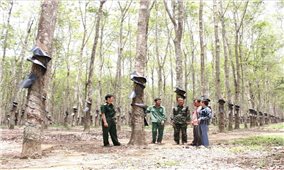 Hiệu quả mô hình “Gắn kết hộ” của đồng bào DTTS nơi biên giới