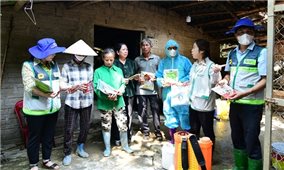 Bộ Nông nghiệp và Môi trường hướng dẫn củng cố đội ngũ cộng tác viên và Tổ khuyến nông cộng đồng