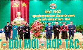 Bà Chu Thị Ngọc Diệp giữ chức Chủ tịch Hội Nông dân tỉnh Tuyên Quang