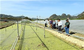 Kịp thời hỗ trợ người dân vùng lũ khôi phục sản xuất nông nghiệp