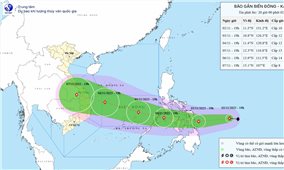 Bão Kalmaegi tăng cấp, hướng vào Biển Đông: Cảnh báo mưa lớn, gió mạnh tại miền Trung