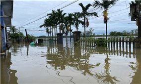 Đà Nẵng chi 210 tỷ đồng khắc phục hậu quả thiên tai