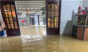 Đà Nẵng phân bổ thêm 18 tỷ đồng hỗ trợ các địa phương khắc phục hậu quả thiên tai