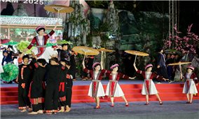 Tuyên Quang: Lễ hội Hoa tam giác mạch sẽ khai mạc vào ngày 29/11