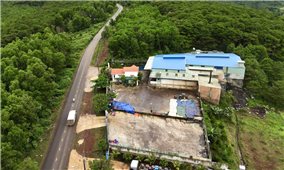 Khởi tố Giám đốc và nhân viên sản xuất cà phê giả tại Gia Lai