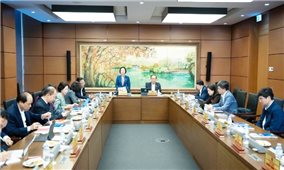 Làm rõ trách nhiệm pháp lý khi trí tuệ nhân tạo vi phạm quyền sở hữu trí tuệ