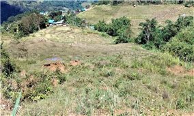 Quảng Ngãi: Xuất hiện nhiều vết nứt gãy trên đồi đe dọa khu dân cư có 54 hộ đồng bào Xơ Đăng đang sinh sống