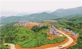 Viết tiếp câu chuyện hồi sinh sau bão lũ